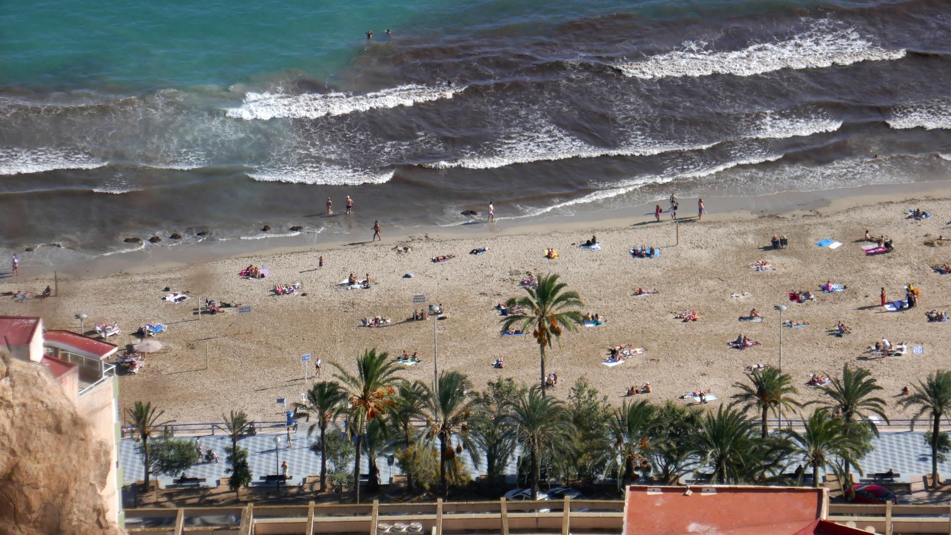 Algenbildung am Strand von Alicante im Südosten Spaniens.  