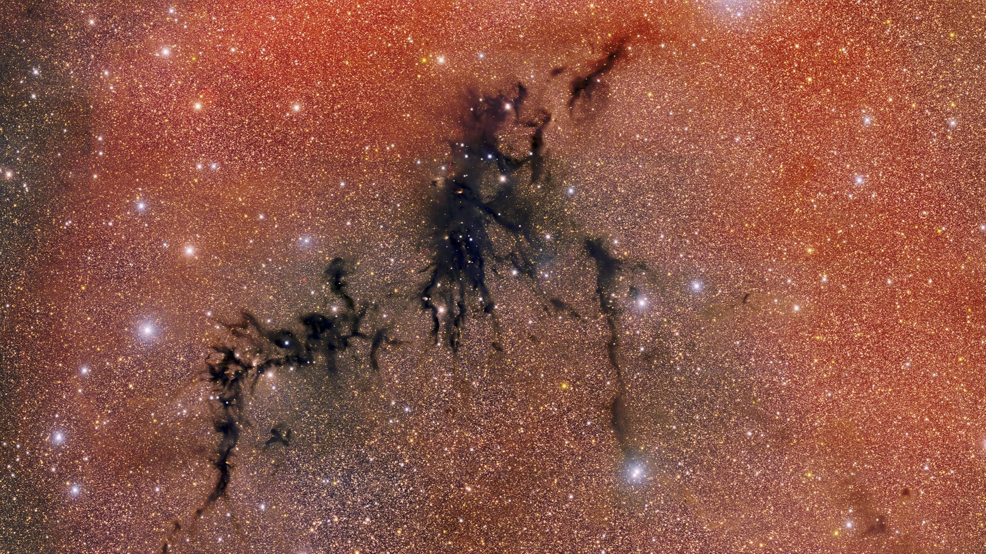 Molekülwolke Circinus West im Sternbild Zirkel Molekülwolke Circinus West im Sternbild Zirkel