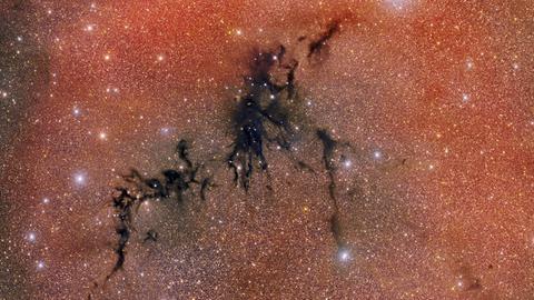 Staub, leuchtendes Gas und Sterne so weit das Auge reicht: die Molekülwolke Circinus West im Sternbild Zirkel. 