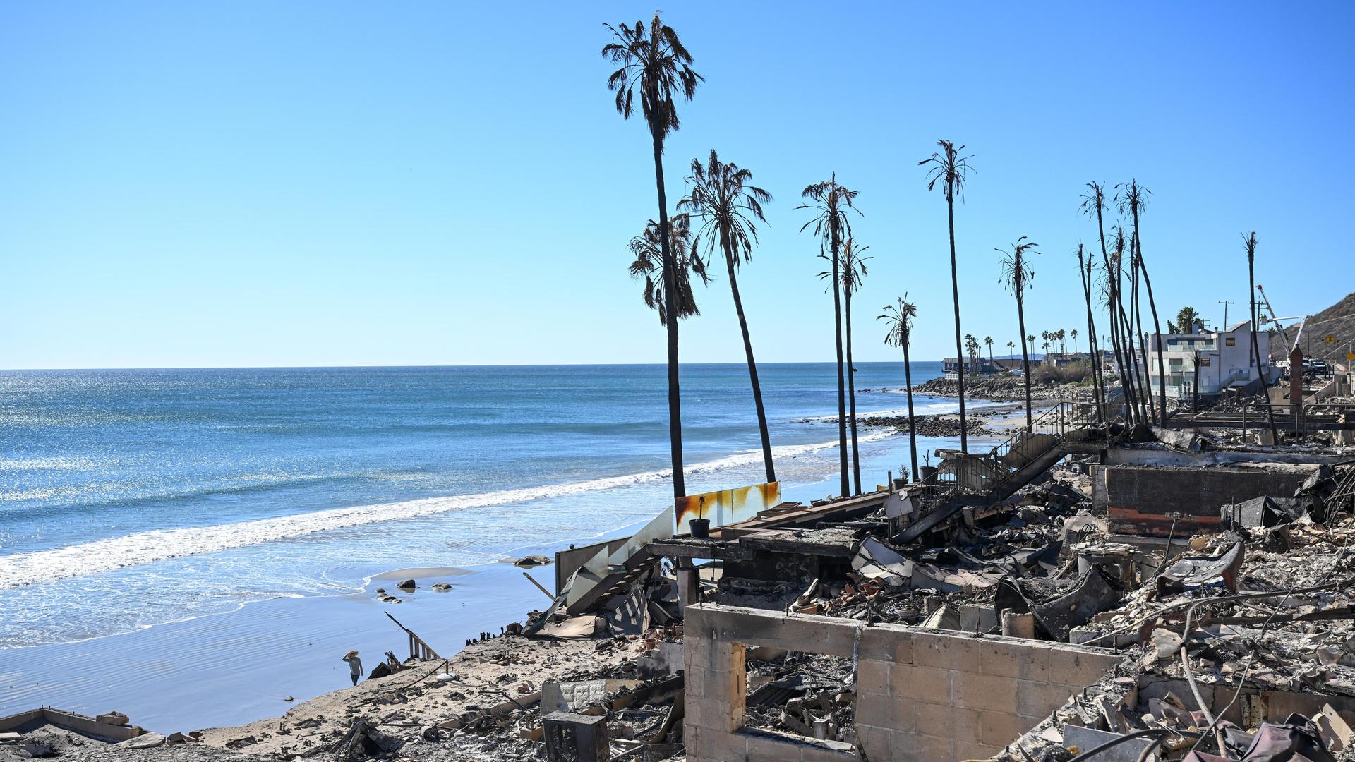 Verbrannte Palmen und Trümmer von Häusern sind vor dem Strand von Malibu Beach zu sehen. Der Himmel ist blau.