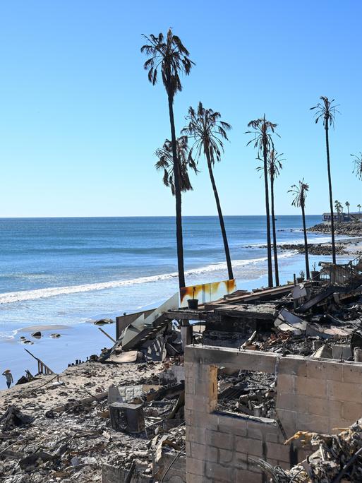 Verbrannte Palmen und Trümmer von Häusern sind vor dem Strand von Malibu Beach zu sehen. Der Himmel ist blau.