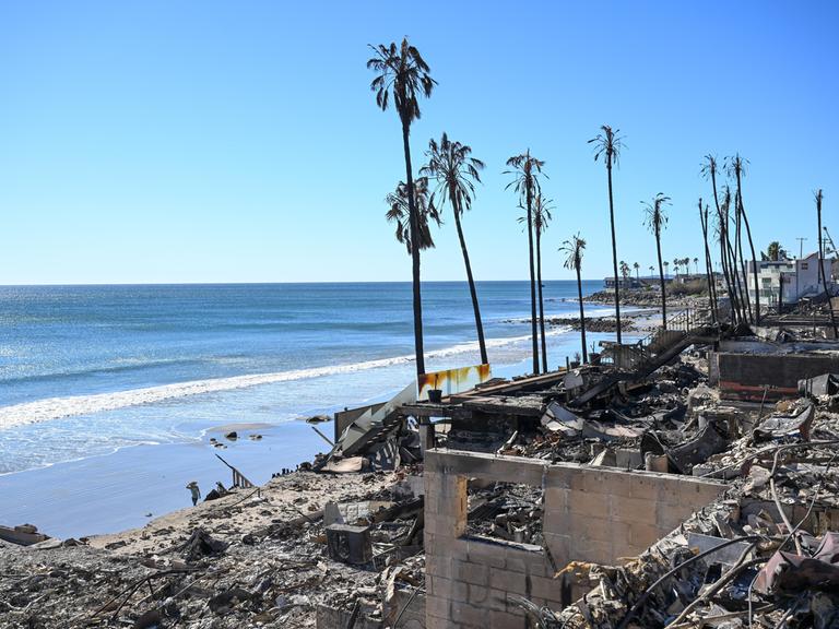Verbrannte Palmen und Trümmer von Häusern sind vor dem Strand von Malibu Beach zu sehen. Der Himmel ist blau.