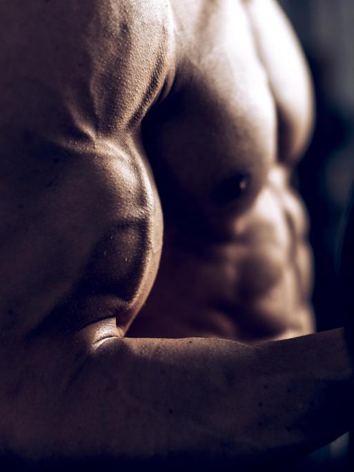 Muskeln, Oberarm, Bodybuilder