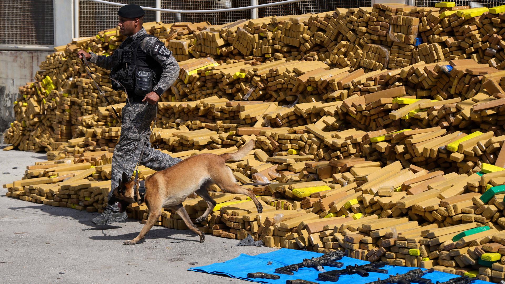 Ein Polizist und ein Polizeihund laufen über große Barren, in denen vermutlich Marihuana ist. Vor den Barren liegen Waffen auf einem blauen Tuch.