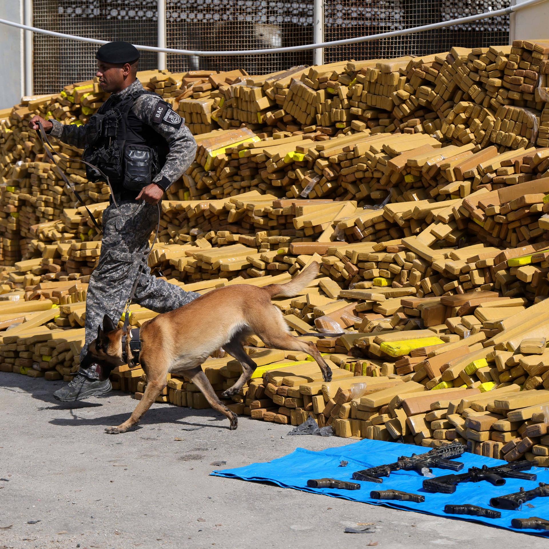 Ein Polizist und ein Polizeihund laufen über große Barren, in denen vermutlich Marihuana ist. Vor den Barren liegen Waffen auf einem blauben Tuch.