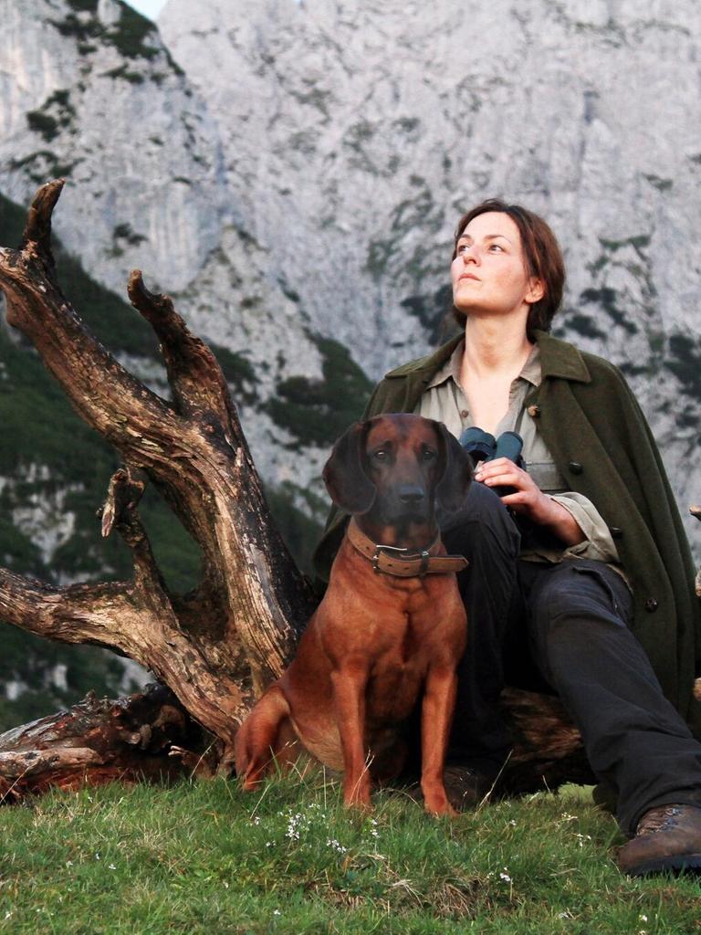 Im Filmstill von "Die Wand" sitzt Martina Gedeck mit ihrem Hund an der Seite auf einem Baumstumpf und schaut ins Gebirge.