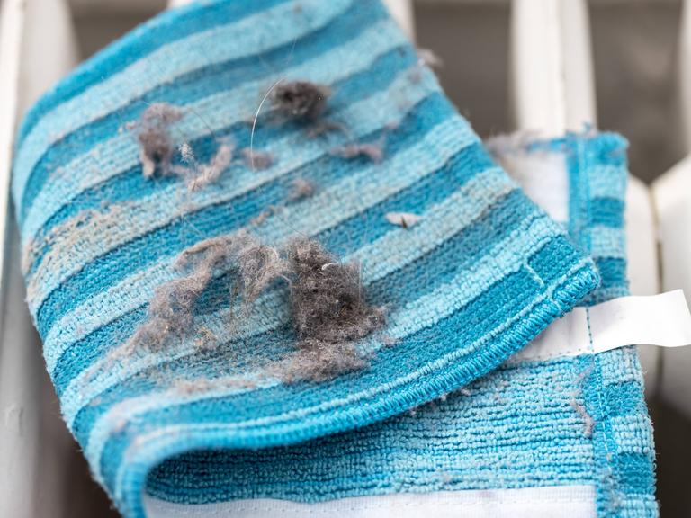 Hausstaub, Wollmäuse, Staubknäule, auf einem Staubtuch, *** House dust Wool mice Dust bud on a dust cloth