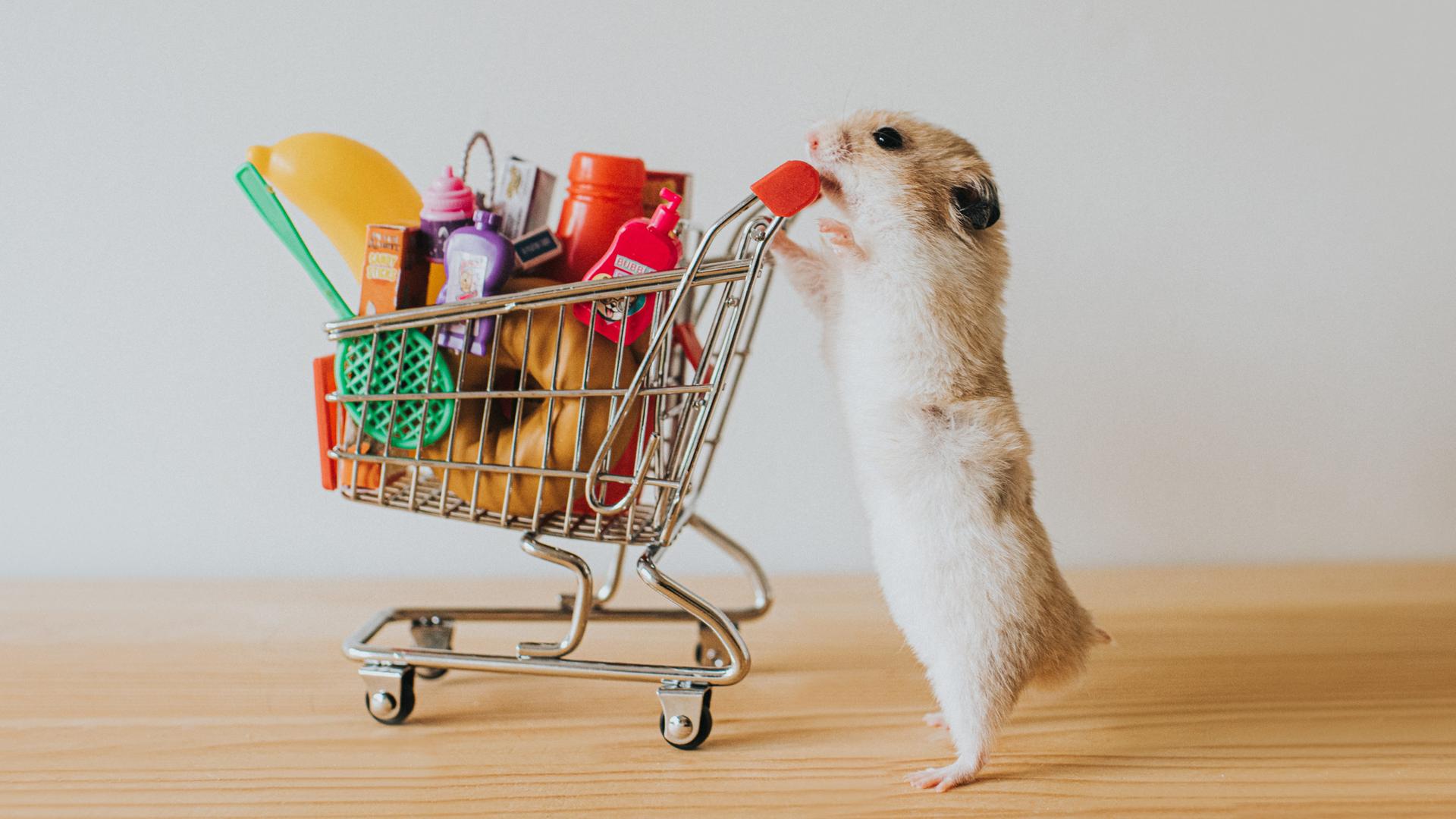 Ein humoriges Symbolbild zeigt einen niedlichen Hamster mit einem vollen Einkaufswagen als Miniaturmodell. 