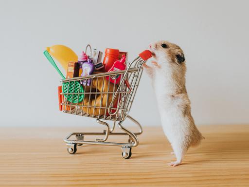 Ein humoriges Symbolbild zeigt einen niedlichen Hamster mit einem vollen Einkaufswagen als Miniaturmodell. 