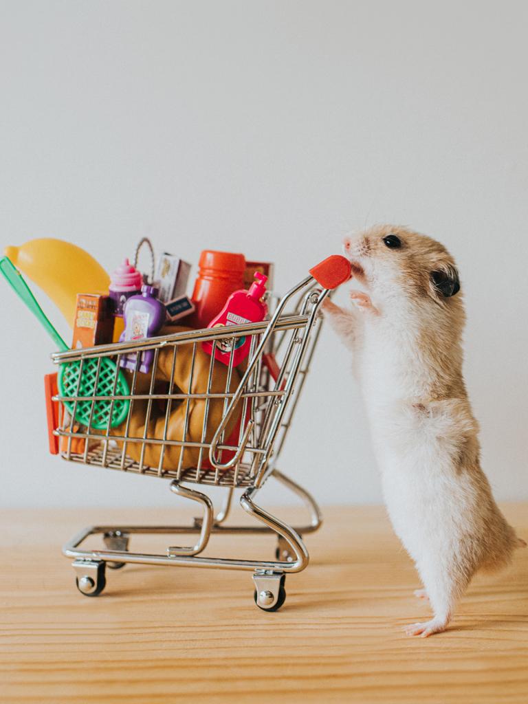 Ein humoriges Symbolbild zeigt einen niedlichen Hamster mit einem vollen Einkaufswagen als Miniaturmodell. 