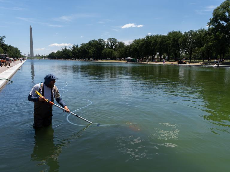 Ein Mensch steht in Washington in einem Wasserbecken und benutzt ein Reinigungsgerät.