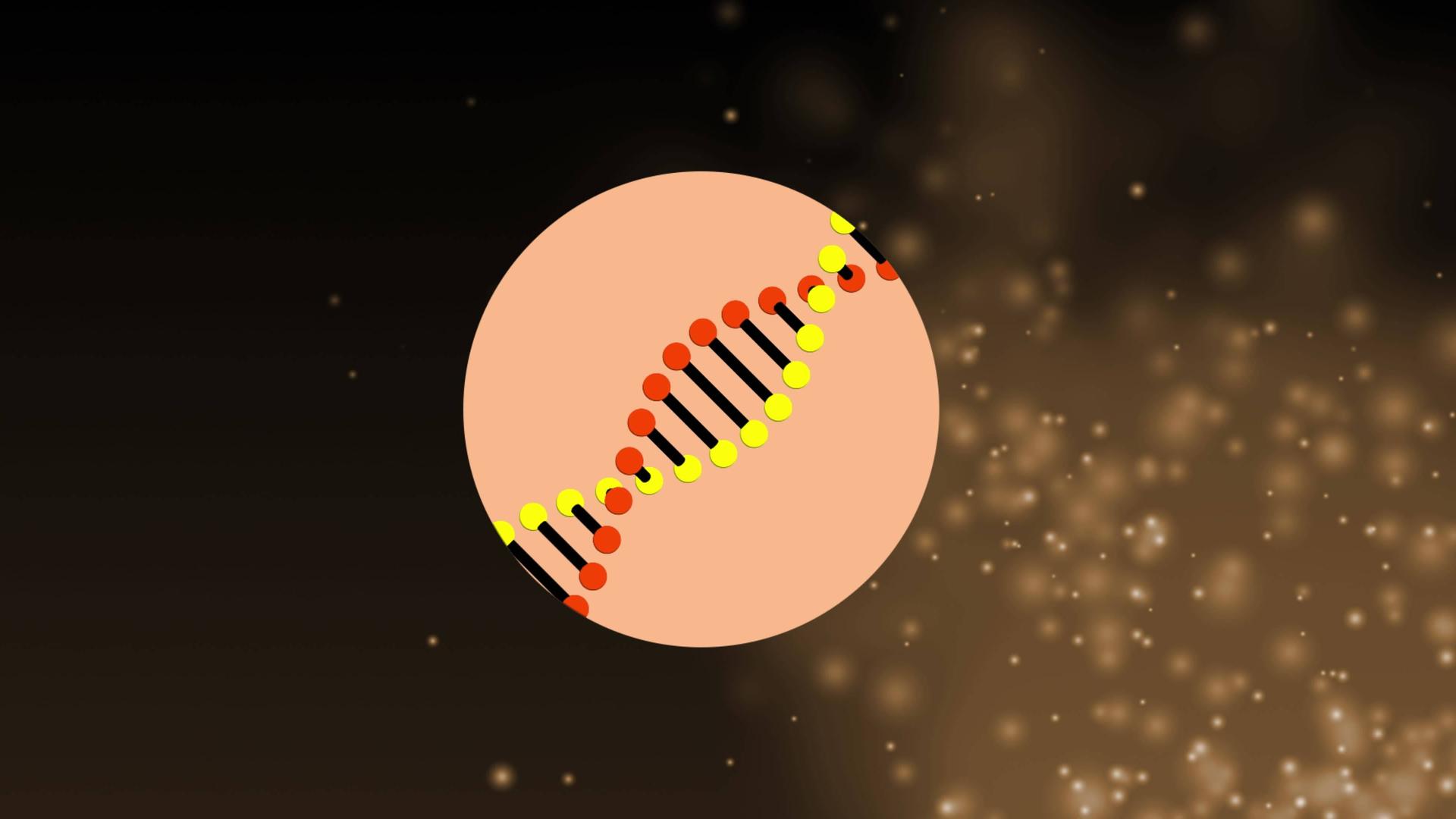 Illustration einer sich drehenden DNA-Struktur über konzentrischen Kreisen vor einem fotografischen Hintergrund, auf dem Lichtpunkte schweben. Illustration einer sich drehenden DNA-Struktur über konzentrischen Kreisen vor einem fotografischen Hintergrund, auf dem Lichtpunkte schweben.