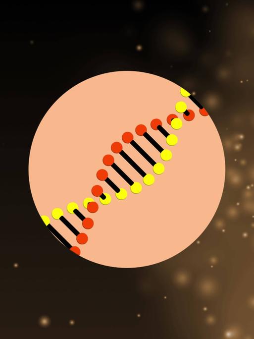 Illustration einer sich drehenden DNA-Struktur über konzentrischen Kreisen vor einem fotografischen Hintergrund, auf dem Lichtpunkte schweben.