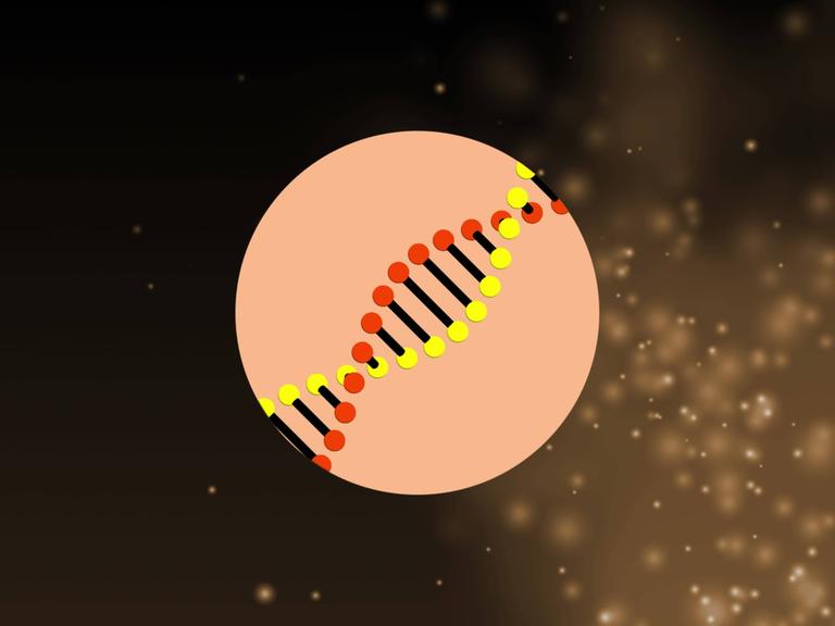 Illustration einer sich drehenden DNA-Struktur über konzentrischen Kreisen vor einem fotografischen Hintergrund, auf dem Lichtpunkte schweben.