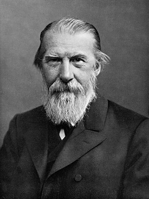 Die undatierte Fotografie zeigt den deutschen Schriftsteller Wilhelm Raabe, Pseudonym: Jakob Corvinus (1831-1910). Er hat weiße nach hinten gekämmte Haare und einen langen Bart.