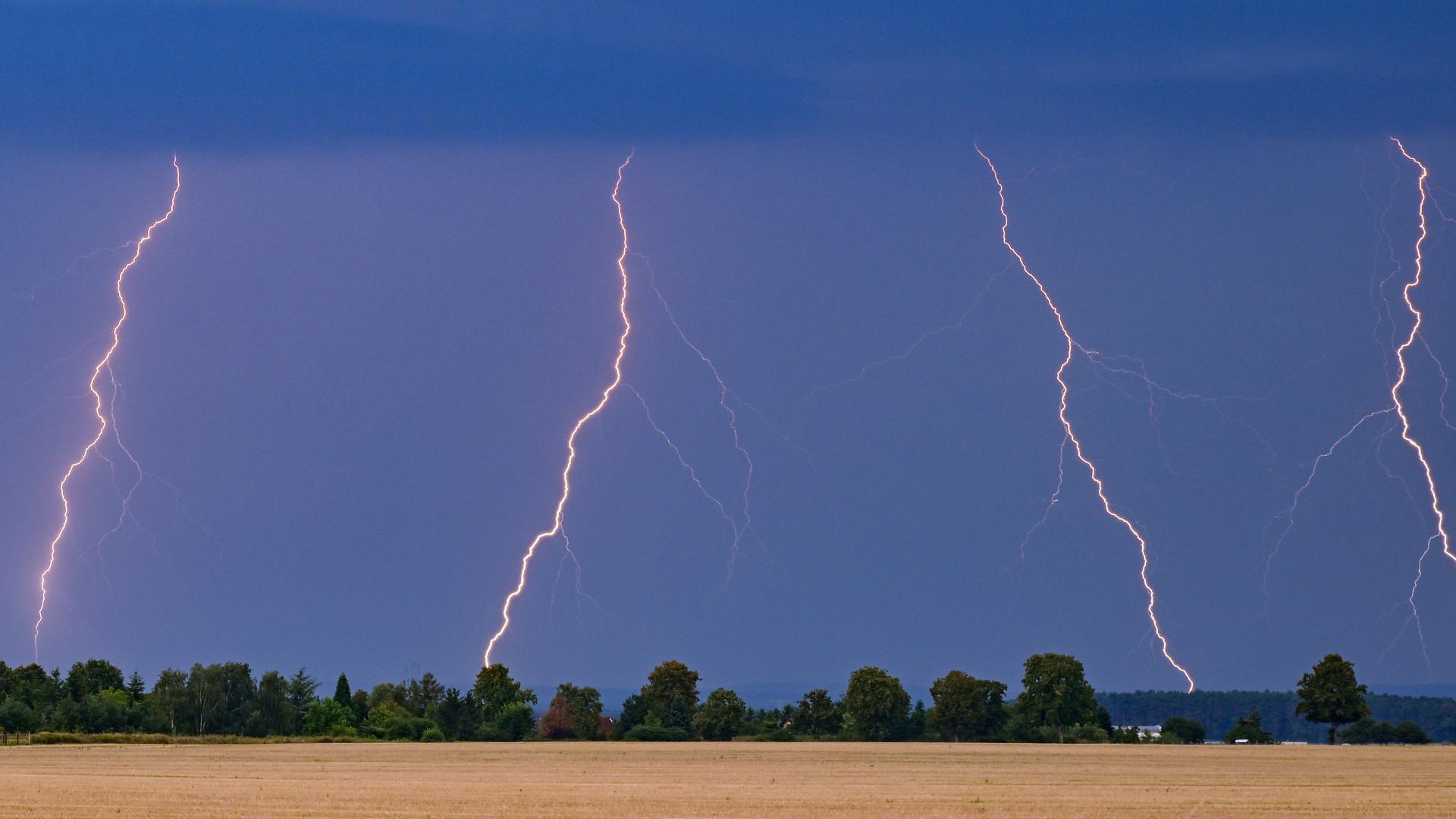 Mehrere Blitze eines Gewitters leuchten am Abendhimmel über der Landschaft im Osten des Landes Brandenburg.