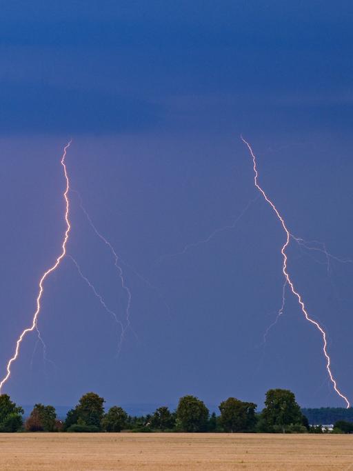 Mehrere Blitze eines Gewitters leuchten am Abendhimmel über der Landschaft im Osten des Landes Brandenburg.