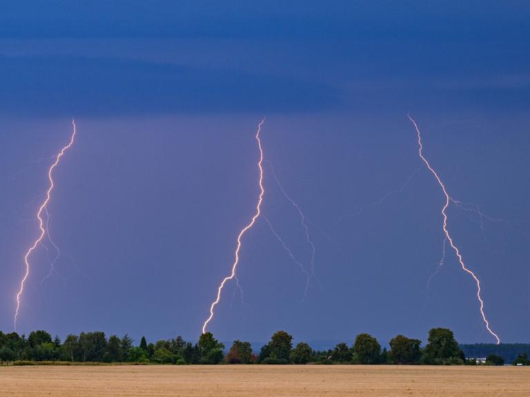 Mehrere Blitze eines Gewitters leuchten am Abendhimmel über der Landschaft im Osten des Landes Brandenburg.