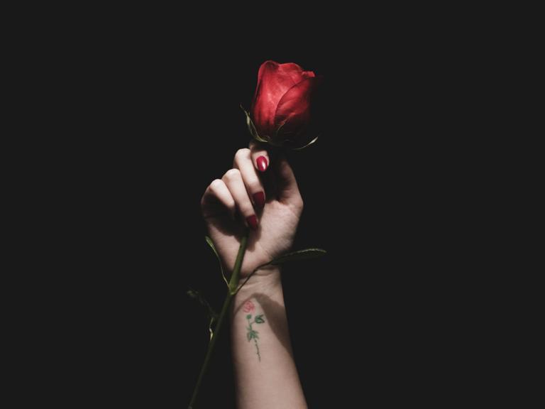 Eine junge Frauenhand hält vor dunklem Hintergrund eine rote Rose in die Höhe.