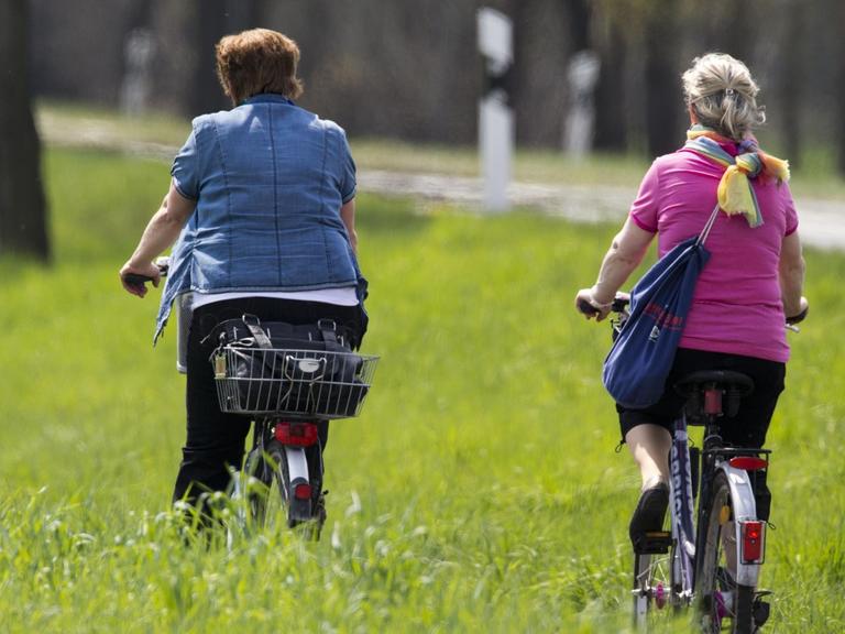 Radfahrende sind auf einem Radweg zwischen Neustadt-Glewe und Ludwigslust (Mecklenburg-Vorpommern) unterwegs