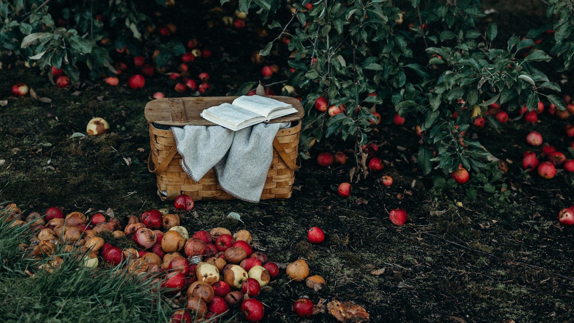 Ein Buch liegt aufgeklappt auf einer Kiste. Daneben reife Äpfel im Herbstlaub. 