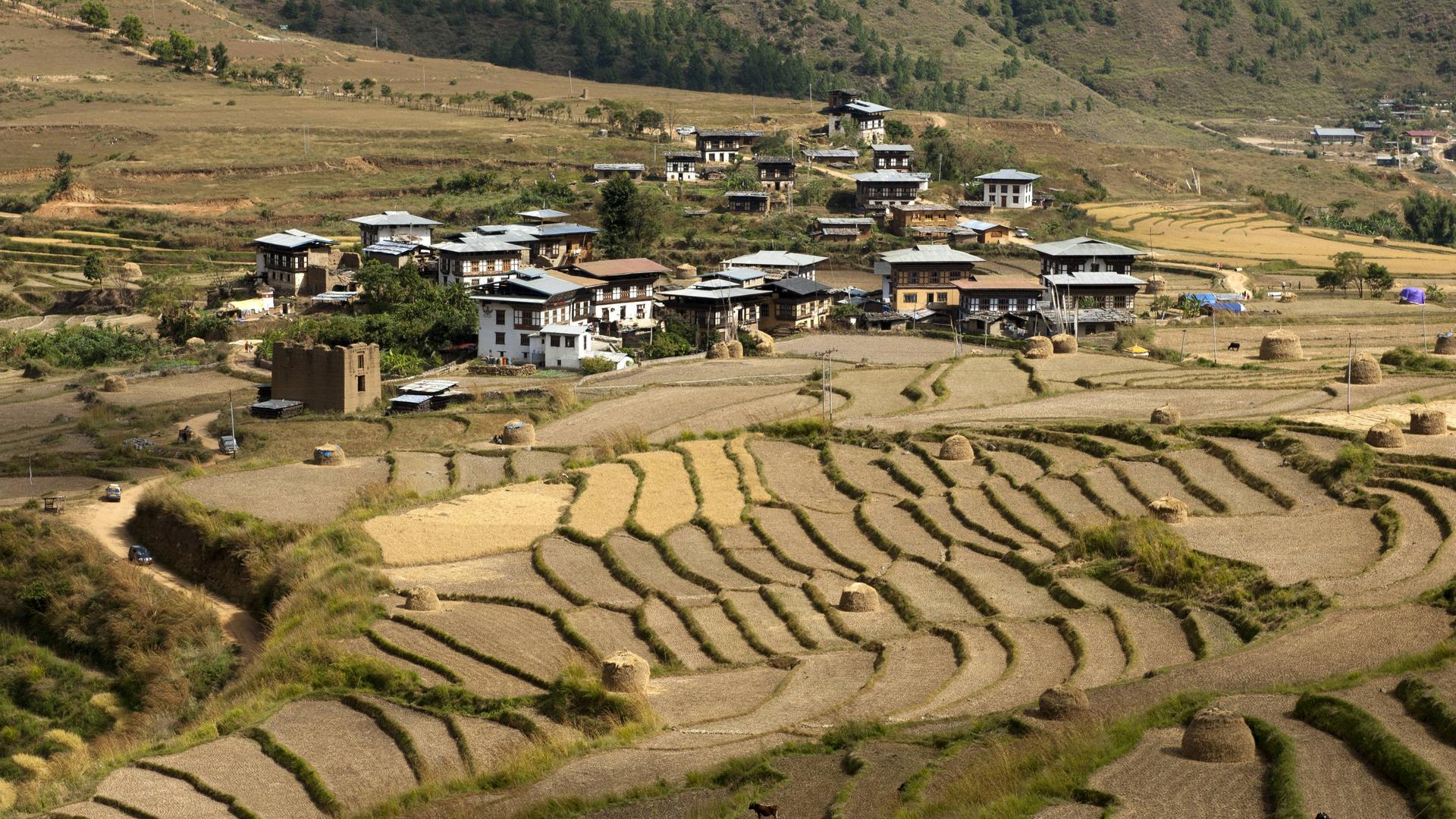 Blick auf das Dorf Sopsokha in Butan inmitten von Terrassenfeldern für den Reisanbau.