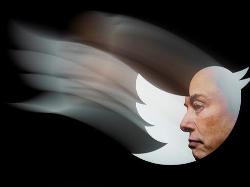 Elon Musks Profil im alten Twitter-Logo, das den Vogel Larry zeigt.