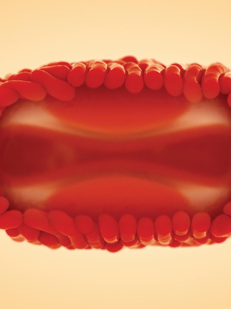 Rote 3D Visualisierung der Affenpocken/Mpox