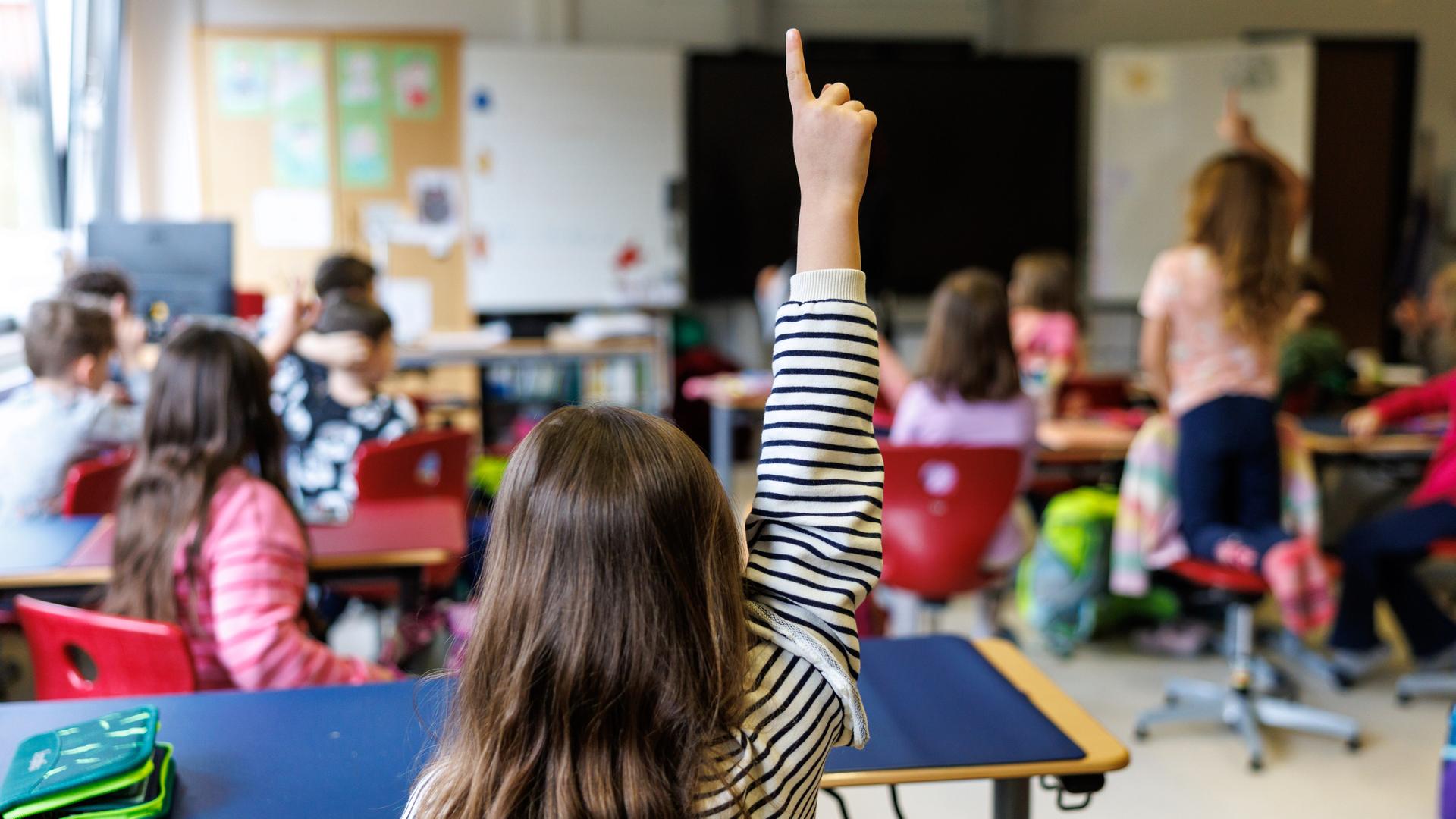 Eine Schülerin einer gemischten ersten und zweiten Klasse einer Grundschule sitzt während einer Unterrichtsstunde auf ihrem Platz im Klassenzimmer und meldet sich. Eine Schülerin einer gemischten ersten und zweiten Klasse einer Grundschule sitzt während einer Unterrichtsstunde auf ihrem Platz im Klassenzimmer und meldet sich.