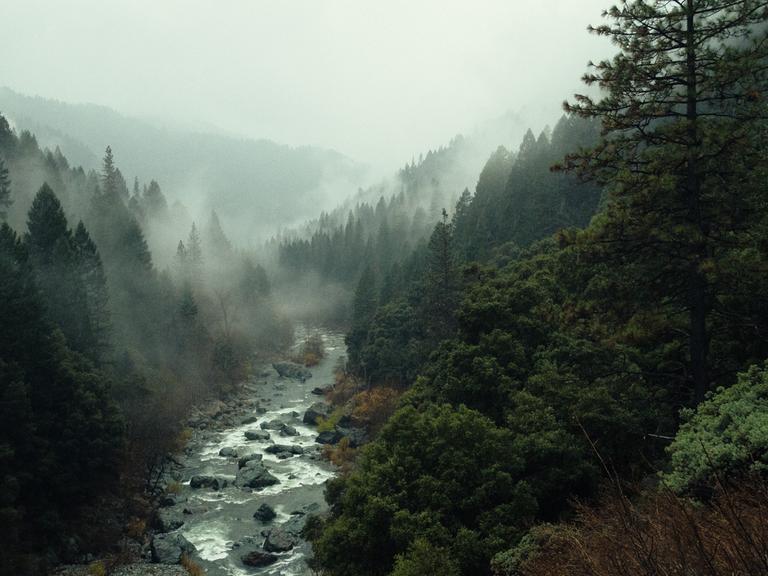 Eine im Nebel versunkene Wald-Berglandschaft