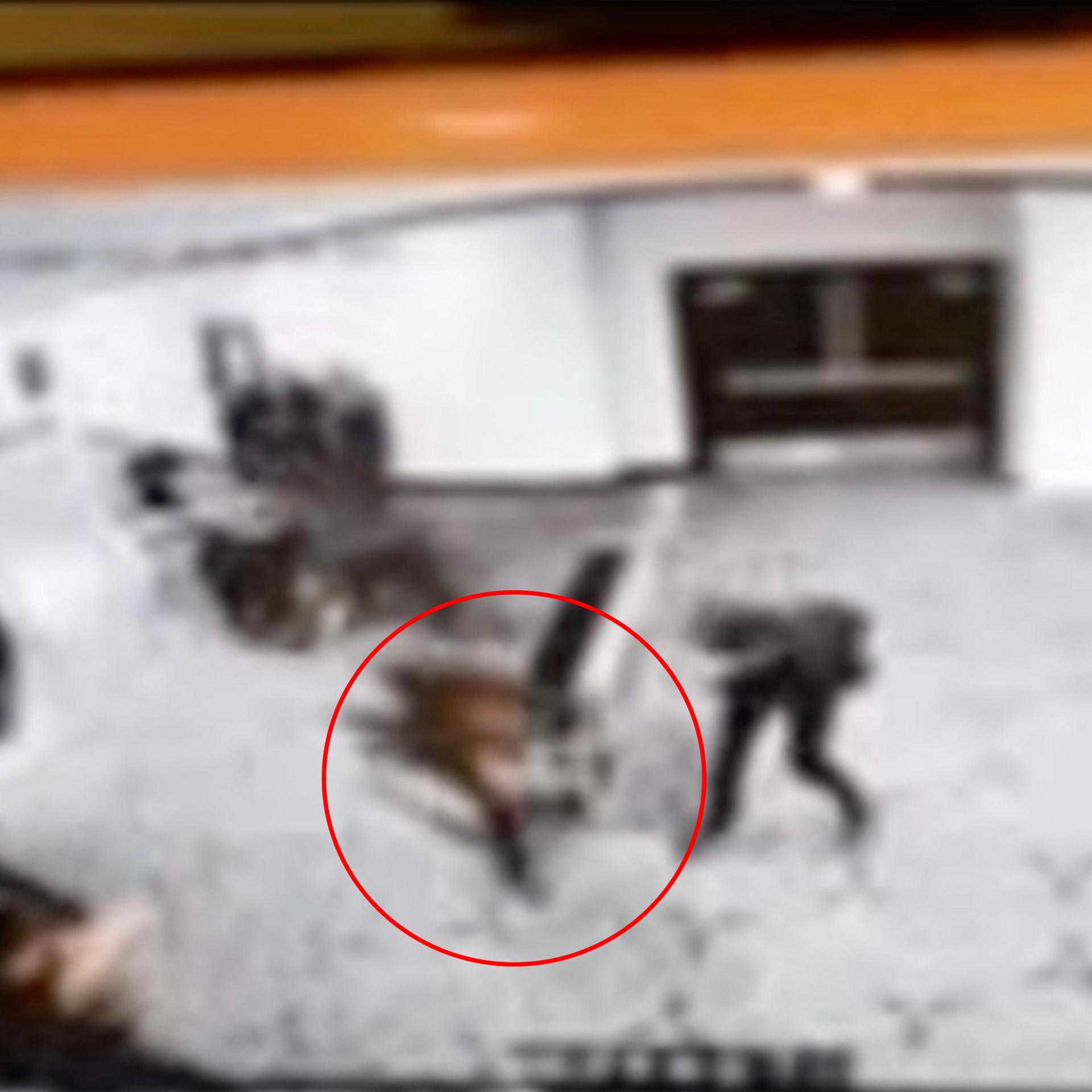 Das Bild ist sehr unscharf: Man sieht den Täter in einem Flur zur Erkennung rot eingekreist, außerdem mehrere Sicherheitsleute.