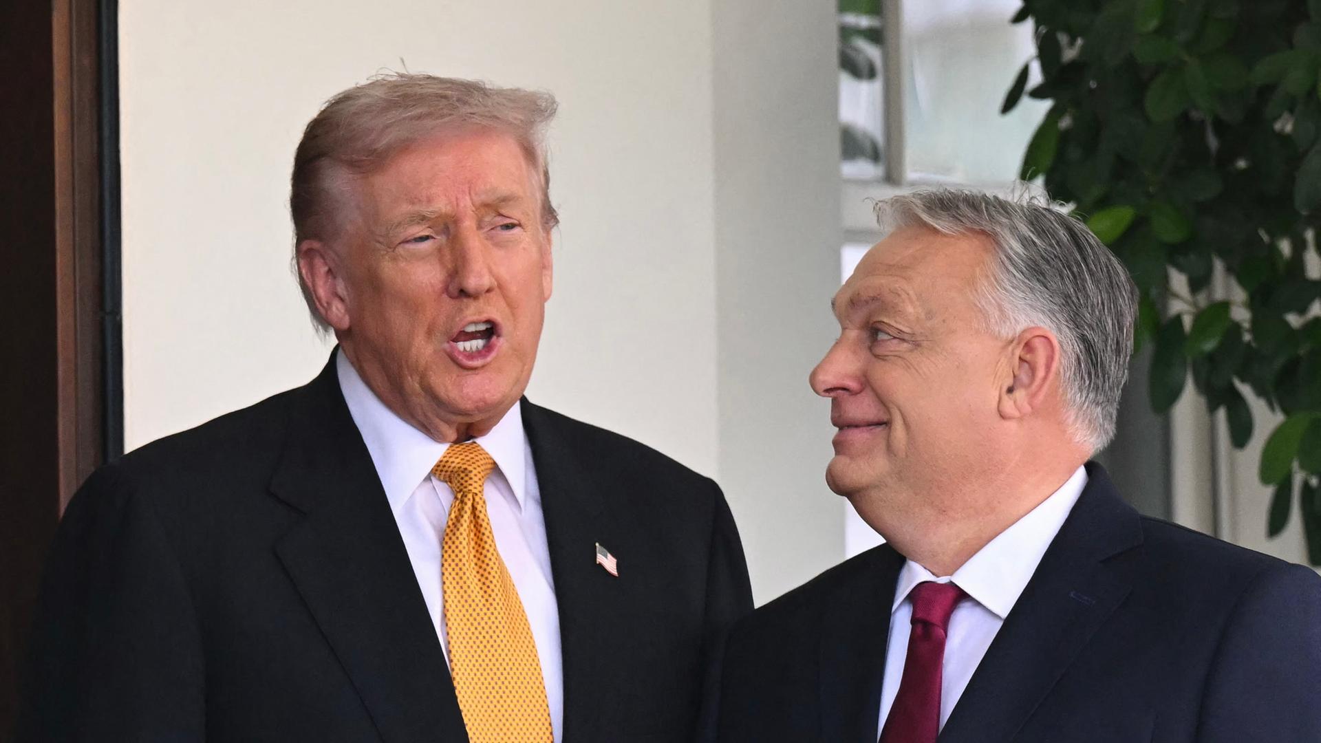 US-Präsident Trump steht vor dem Weißen Haus neben seinem Gast, dem ungarischen Regierungschef Orban, der zu ihm aufschaut. US-Präsident Trump steht vor dem Weißen Haus neben seinem Gast, dem ungarischen Regierungschef Orban, der zu ihm aufschaut.