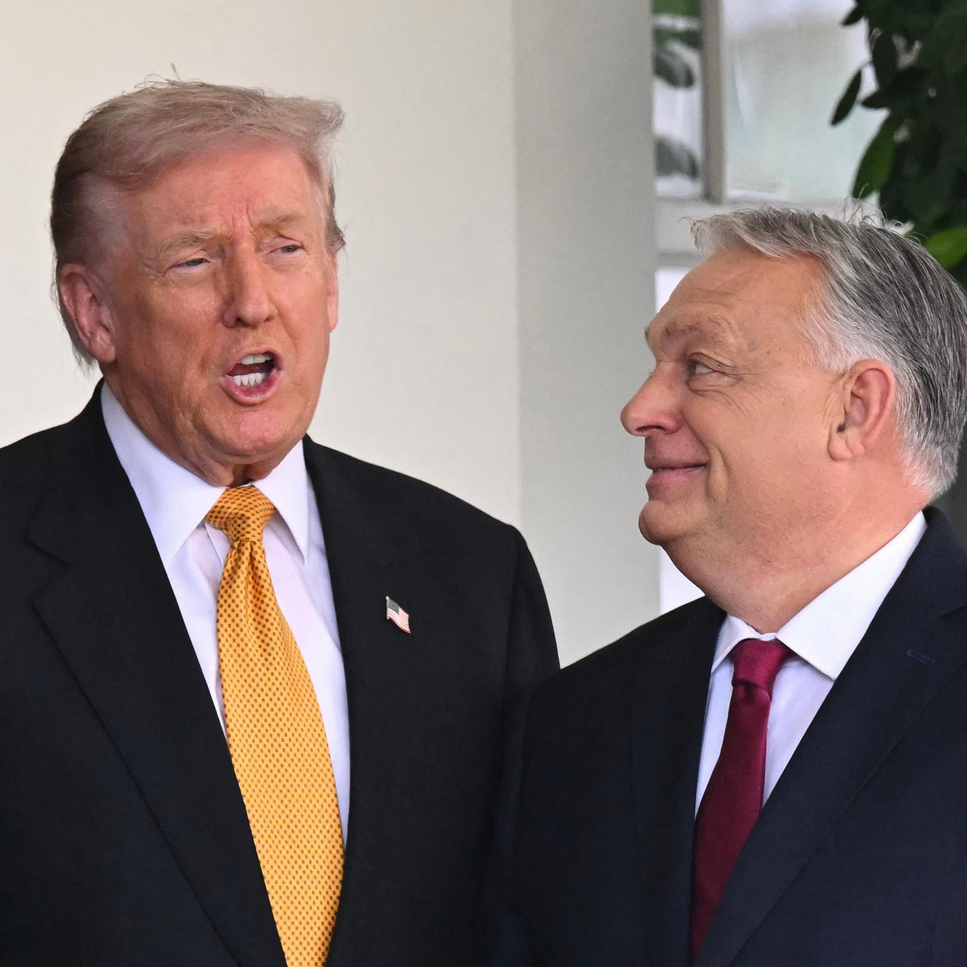 US-Präsident Trump steht vor dem Weißen Haus neben seinem Gast, dem ungarischen Regierungschef Orban, der zu ihm aufschaut.