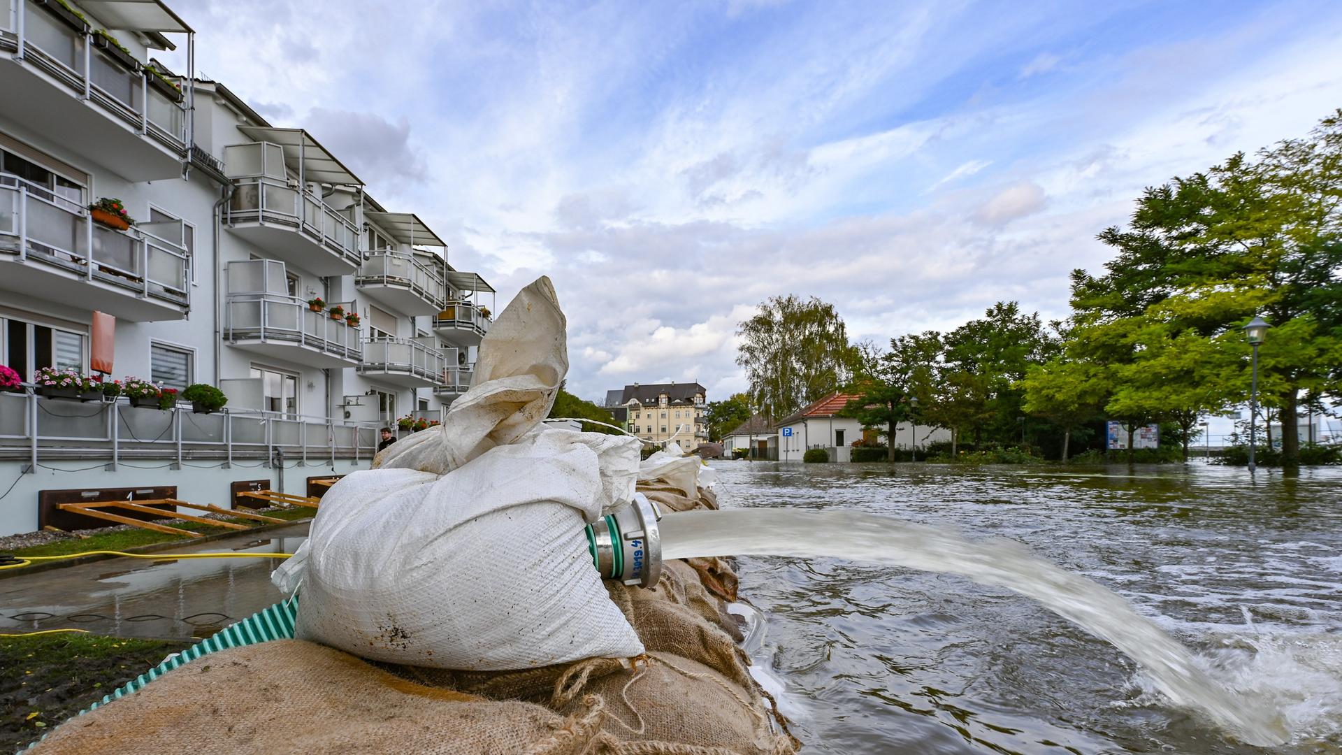 Eisenhüttenstadt: Ein Wall aus Sandsäcken und Pumpen schützen ein Mehrfamilienhaus in Fürstenberg, einem Stadtteil von Eisenhüttenstadt, vor dem Hochwasser des Flusses Oder.