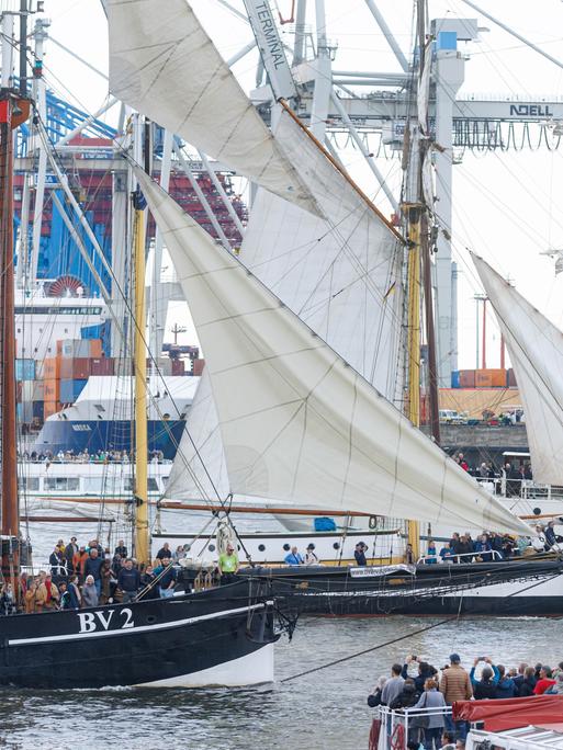 Mehrere große Segelschiffe fahren über die Elbe. Im Hintergrund stehen die Container und Frachtschiffe des Hamburger Hafens.