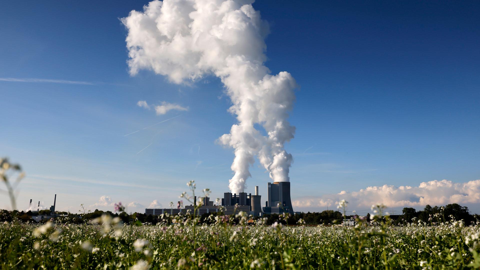 Dampfschwaden am Kohlekraftwerk Niederaußem des Stromkonzerns RWE. Die großen Netzbetreiber wollen die Gebühren für die Stromübertragung (Netzentgelte) im nächsten Jahr um fast 60 Prozent senken. Das hilft auch der Industrie