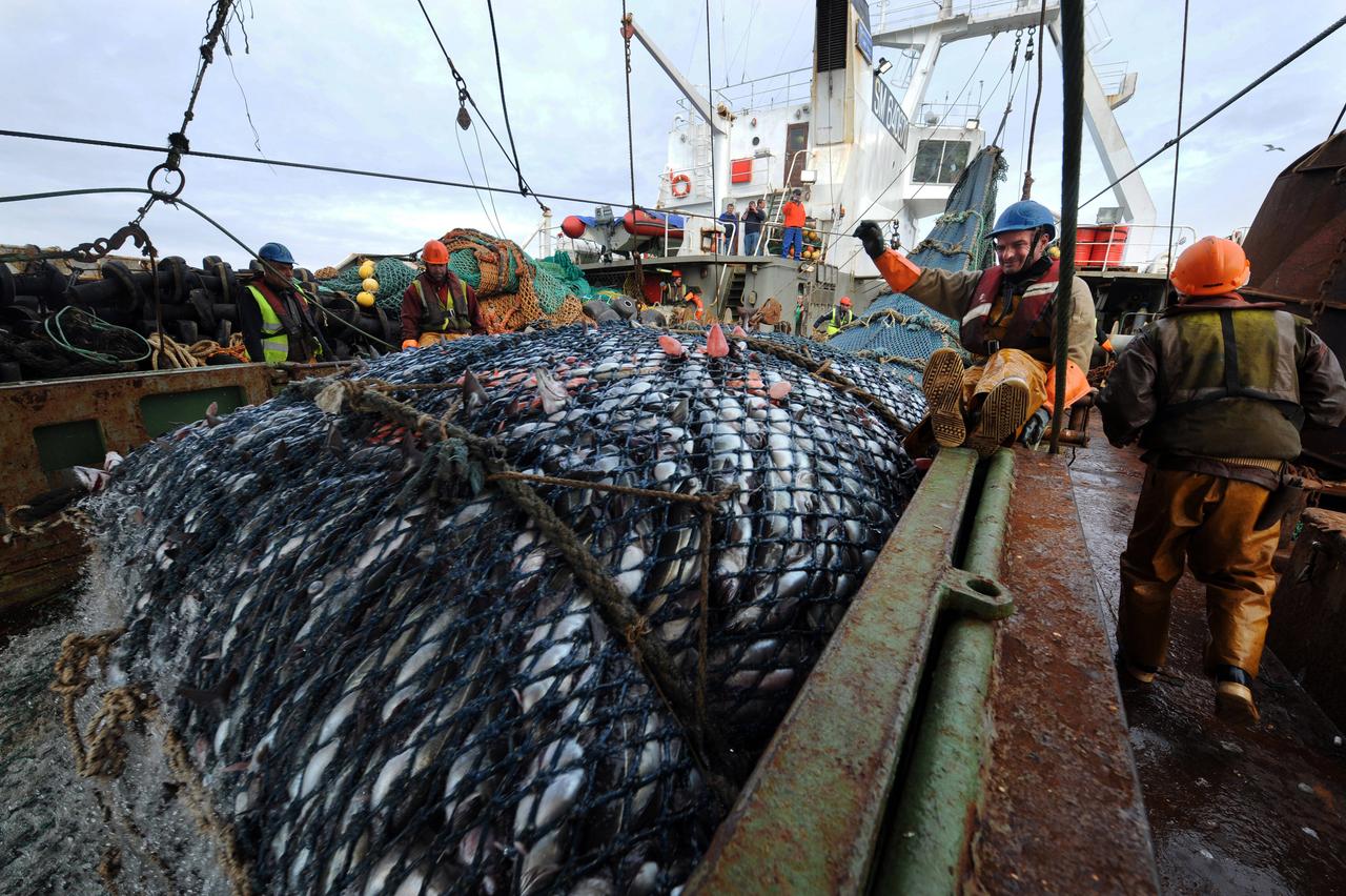 Ein volles Fischfangnetz an Bord eines Trawlers in Norwegen.