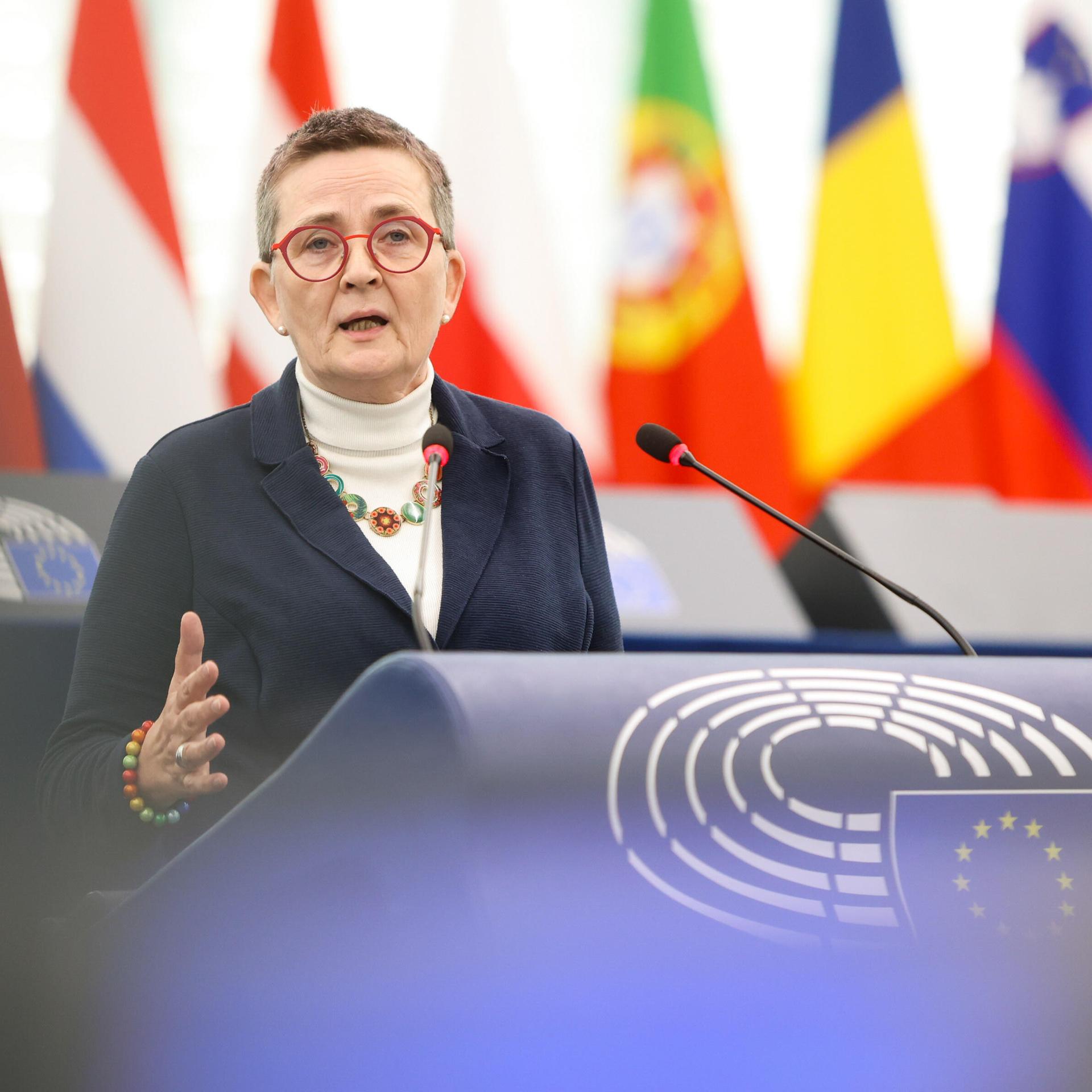 EU-Asylpolitik - EU-Abgeordnete fürchtet Abschaffung des Asylrechts in Europa EU-Asylpolitik - EU-Abgeordnete fürchtet Abschaffung des Asylrechts in Europa