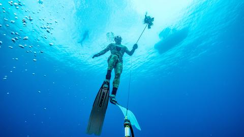 Ein Taucher bei der Unterwasserjagd.