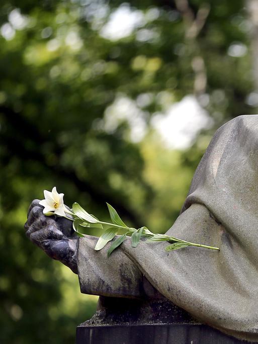 Eine weiße Lilie liegt auf einem Kriegerdenkmal des Garnisonsfriedhofes in Berlin und erinnert an die gefallenen Soldaten des Ersten Weltkriegs. 