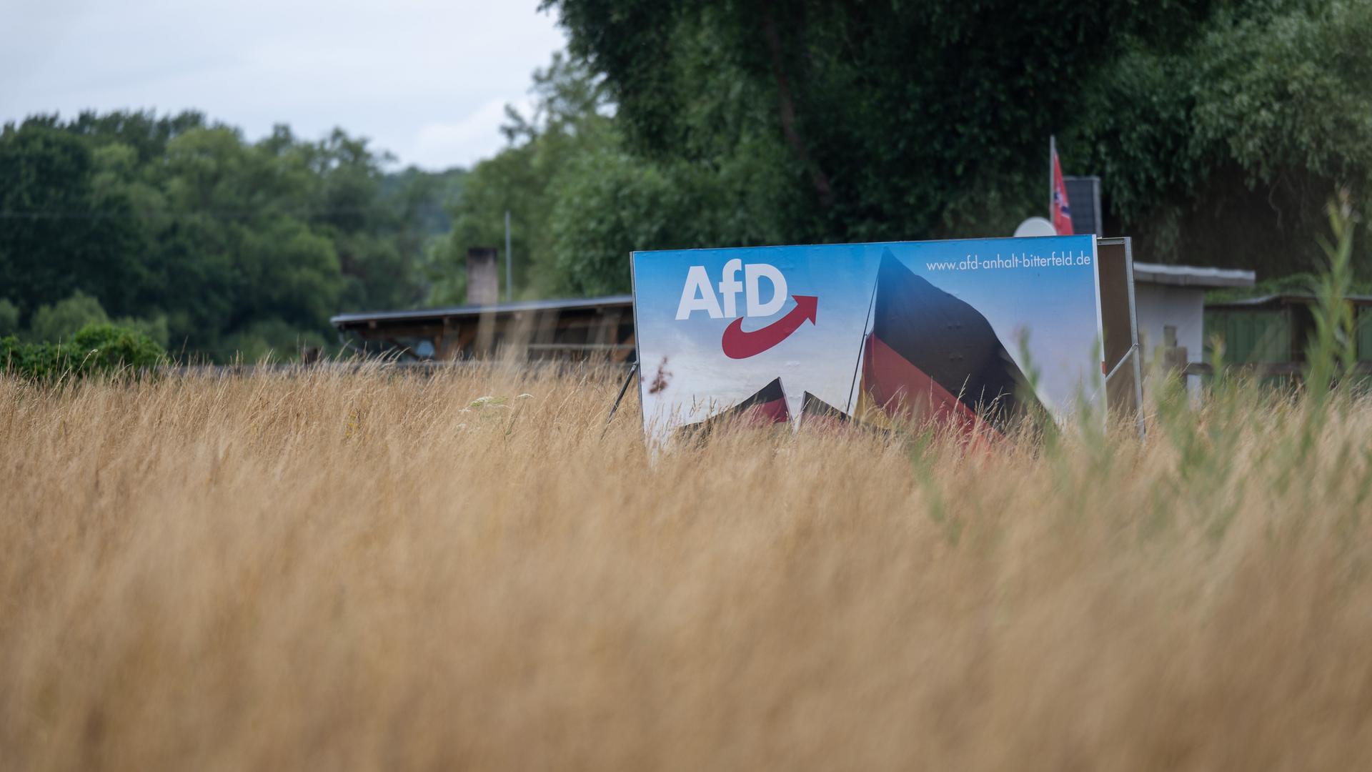 Ein Wahlplakat der AfD steht in einer Wiese bei Bitterfeld. Am 24. September wird in der Stadt Bitterfeld-Wolfen ein neuer Oberbürgermeister gewählt. Die AfD schickt einen eigenen Kandidaten ins Rennen.