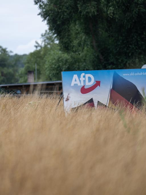 Ein Wahlplakat der AfD steht in einer Wiese bei Bitterfeld. Am 24. September wird in der Stadt Bitterfeld-Wolfen ein neuer Oberbürgermeister gewählt. Die AfD schickt einen eigenen Kandidaten ins Rennen.