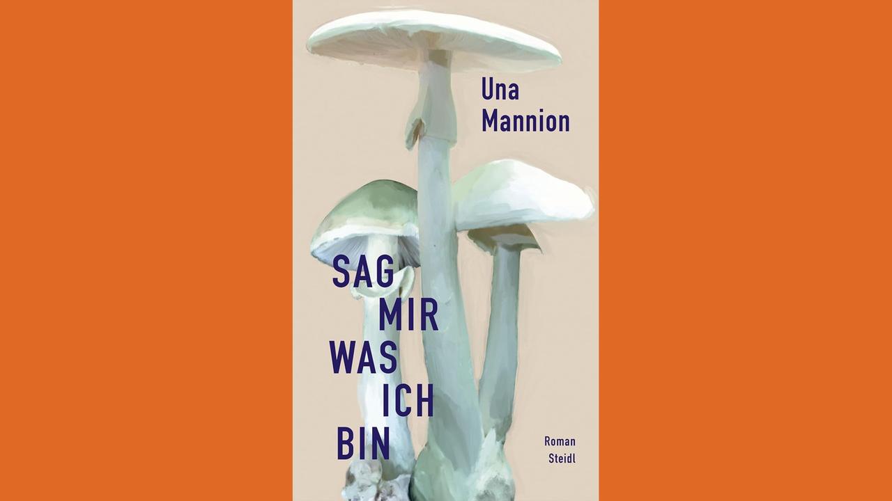 Buchcover des Krimi-Romans "Sag mir, was ich bin" von Una Mannion