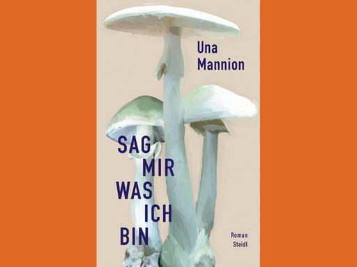 Buchcover des Krimi-Romans "Sag mir, was ich bin" von Una Mannion