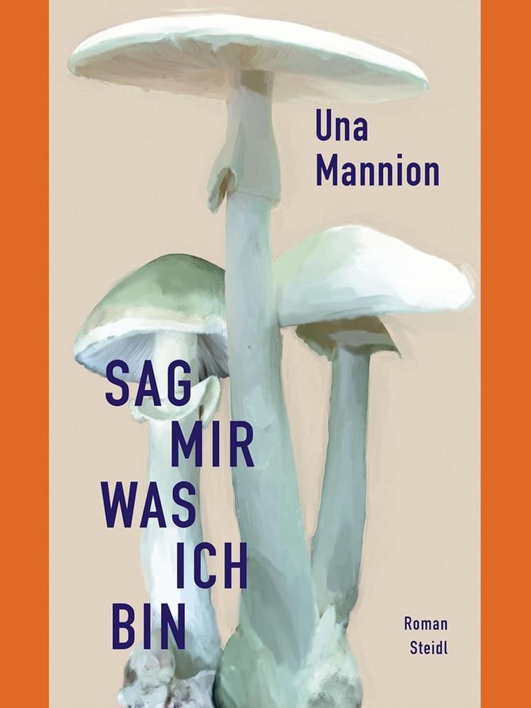 Buchcover des Krimi-Romans "Sag mir, was ich bin" von Una Mannion