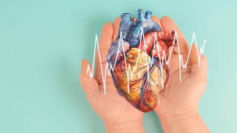 Zwei Hände halten ein Herz, vor dem ein Graph den Pulsschlag anzeigt