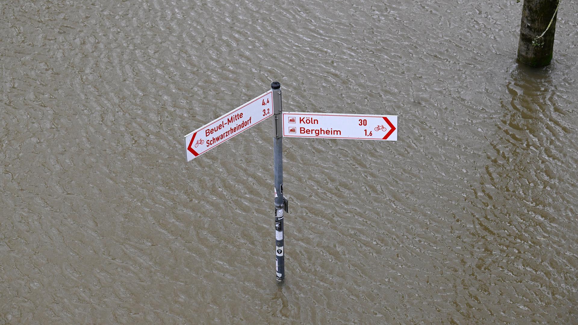 Verkehrsschilder stehen an der Mündung der Sieg in den Rhein im Wasser. Verkehrsschilder stehen an der Mündung der Sieg in den Rhein im Wasser.