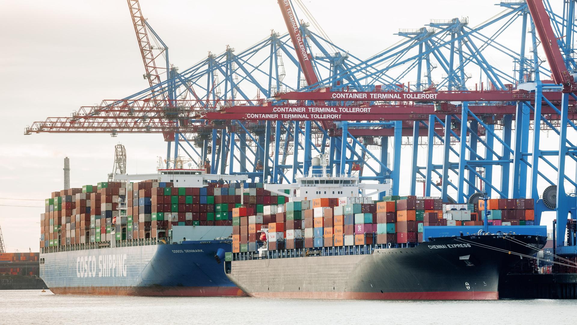 Containerschiffe liegen im Hamburger Hafen am Terminal Tollerort, an dem der chinesische Konzern Cosco einen Anteil von 24,9 Prozent erwerben will.