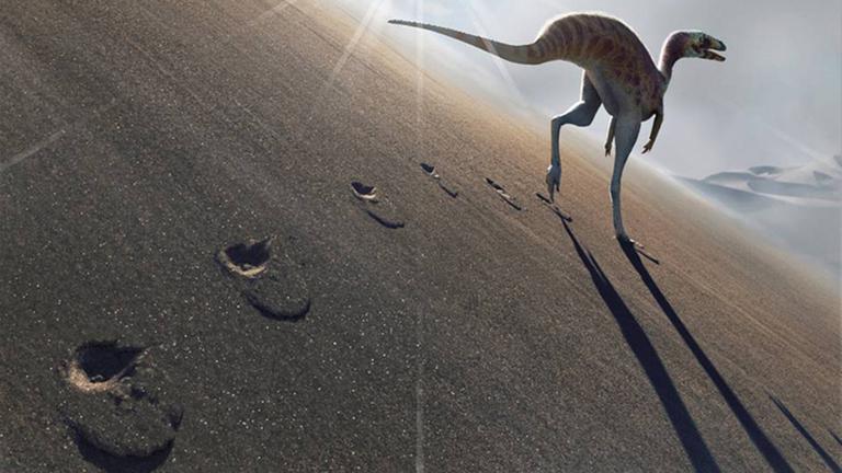 Eine grafische Darstellung des neu entdeckten Dinosauriers Farlowichnus rapidus. Eine grafische Darstellung des neu entdeckten Dinosauriers Farlowichnus rapidus.