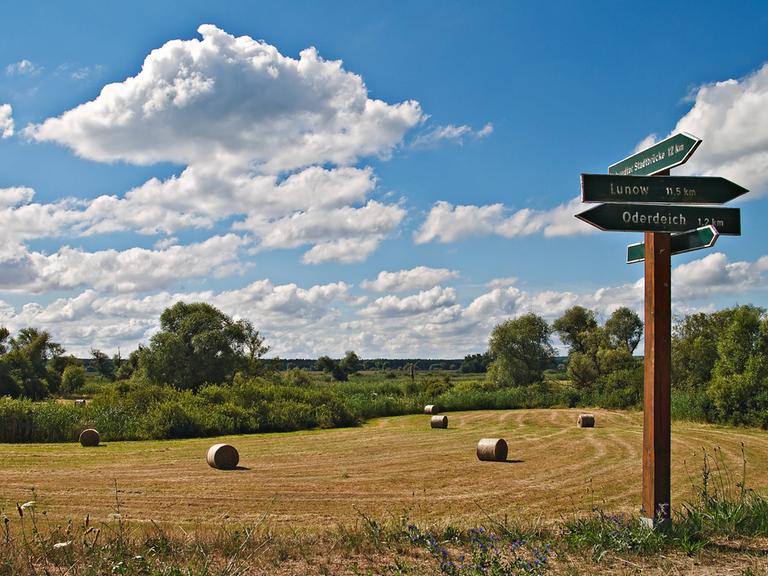 Neben einem abgeernteten Feld mit Strohballen zeigt ein Wegweiser die Entfernung zum Oderdeich und dem Dorf Lunow in Brandenburg an.